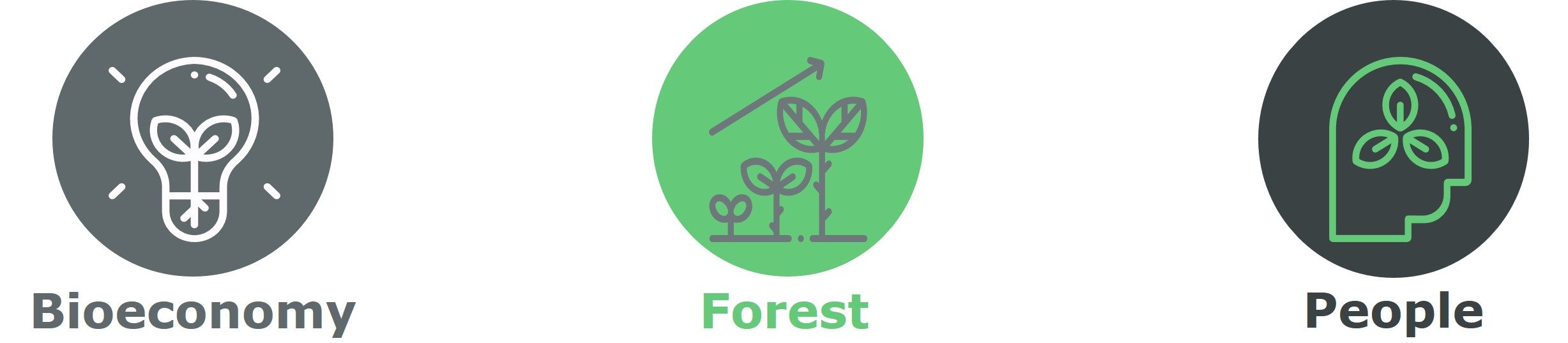 BFORPPL a master degree on Bioeconomy: Forest and People